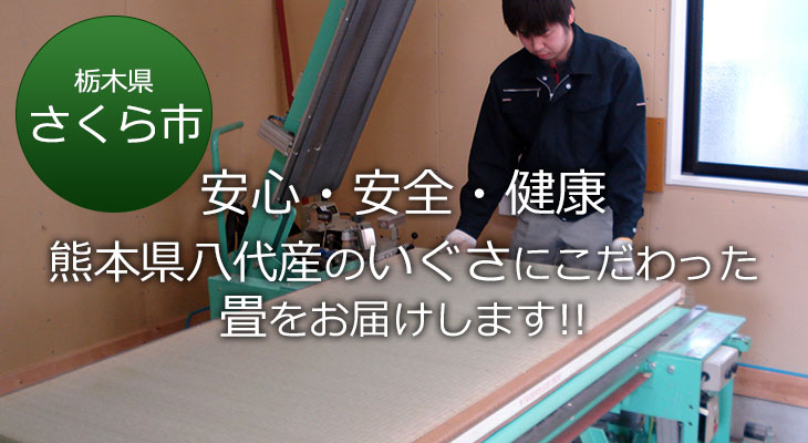 さくら市 安心・安全・健康 熊本県八代産のいぐさにこだわった畳をお届けします